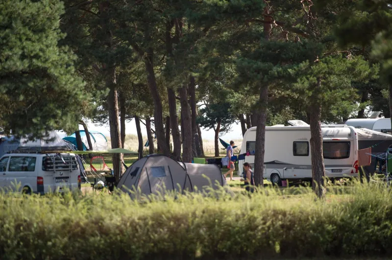 Dueodde Camping photo 58