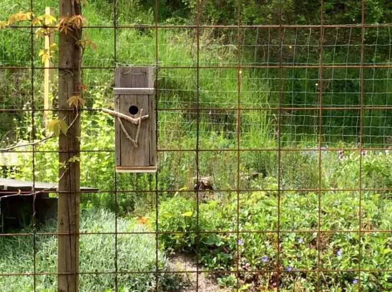 Bergliot Bed & Breakfast photo 12