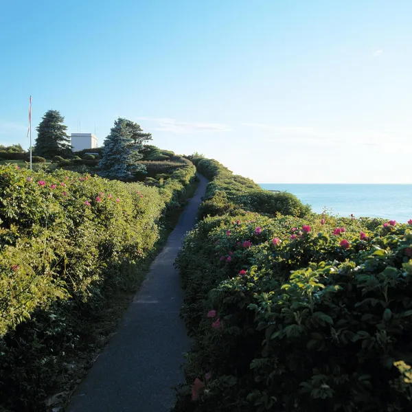 Billede 5 af Gilleleje Badehotel