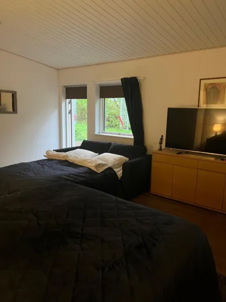 Billede 3 af Serengeti & Stayover