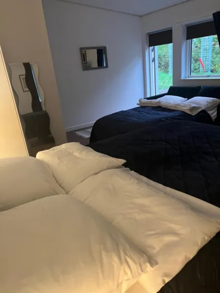 Billede 6 af Serengeti & Stayover