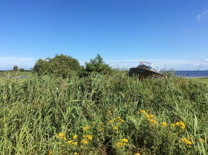 Billede 32 af Askø Mejeri - B&B