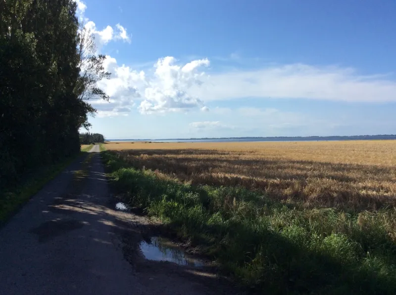 Billede 52 af Askø Mejeri - B&B