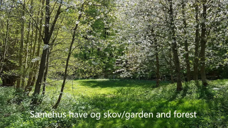 Billede 17 af Sænehus Husmandssted