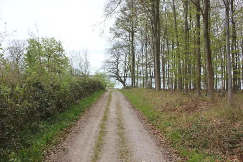 Billede 19 af Eskærhus på Tåsinge, tæt på Svendborg - Afdeling med egen indgang