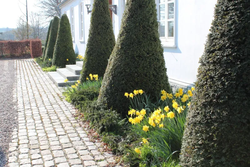 Billede 6 af Louiselund Bed & Breakfast