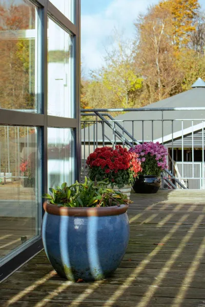 Billede 16 af Louiselund Bed & Breakfast