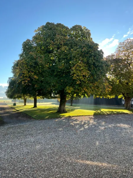 Billede 13 af Lejlighed ved Nykøbing F