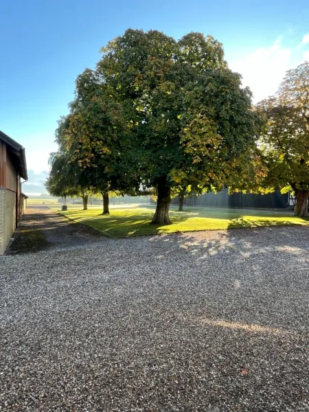 Billede 19 af Lejlighed ved Nykøbing F