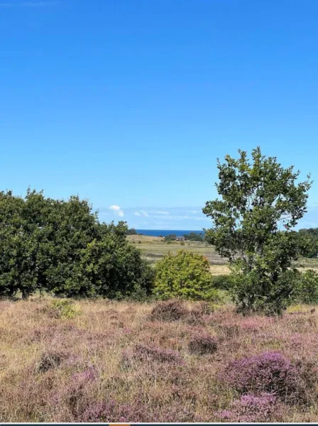 Billede 9 af Summer House Close To Nature And Beach