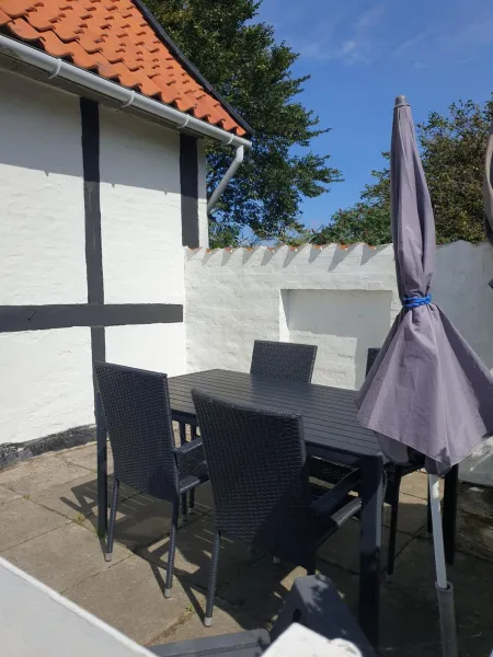 Billede 13 af Violen