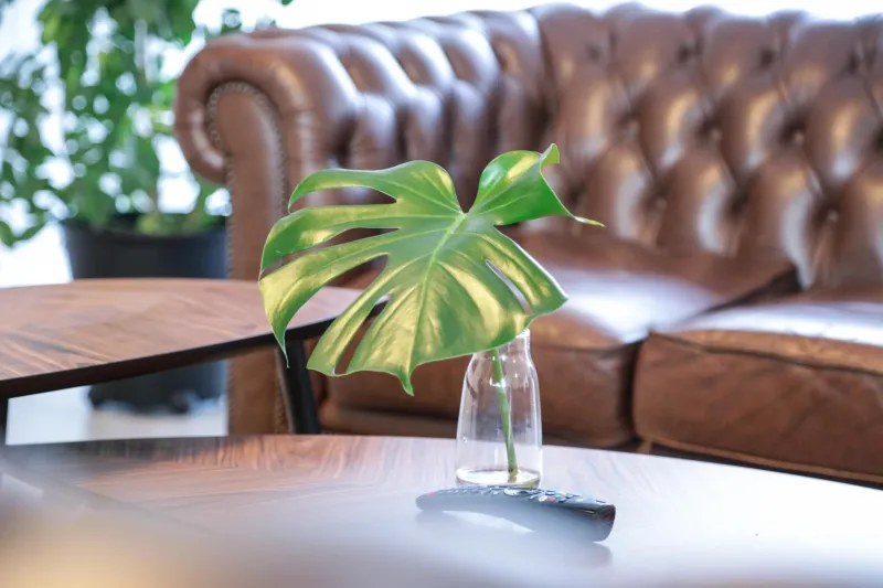 Billede 13 af Hotel Ikast