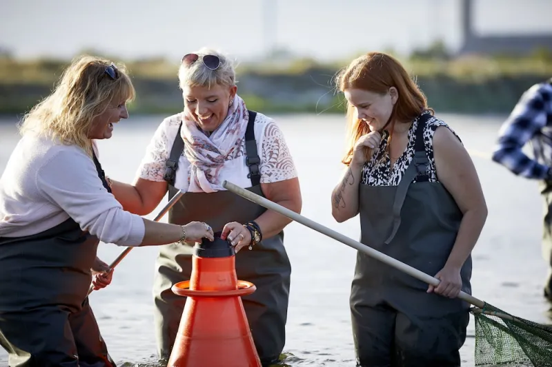 Billede 4 af Kysthotellet Djursland