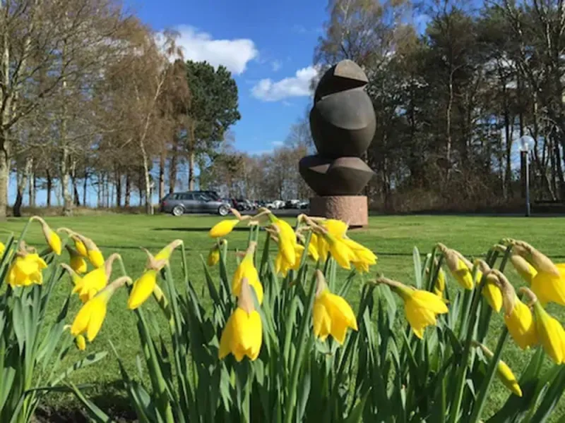 Billede 6 af Kysthotellet Djursland