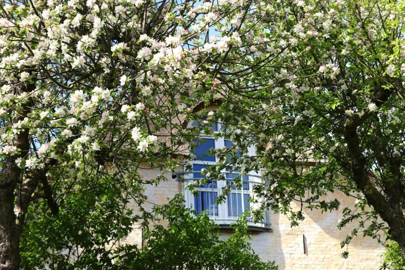 Billede 21 af Bakkehuset Countryhouse
