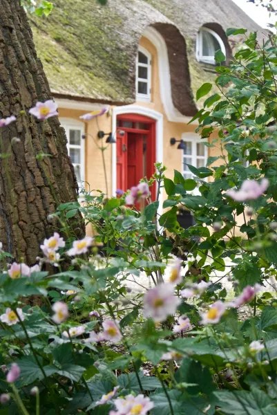 Billede 42 af Bakkehuset Countryhouse