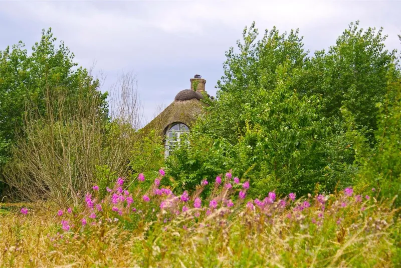 Billede 64 af Bakkehuset Countryhouse