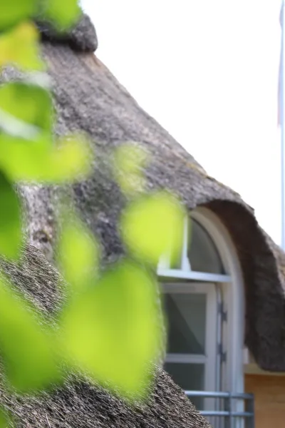 Billede 70 af Bakkehuset Countryhouse
