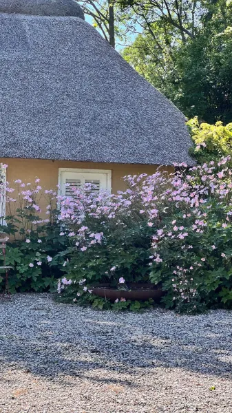 Billede 89 af Bakkehuset Countryhouse
