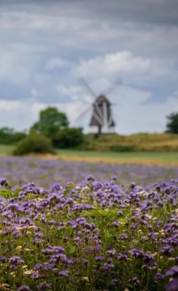 Billede 92 af Bakkehuset Countryhouse
