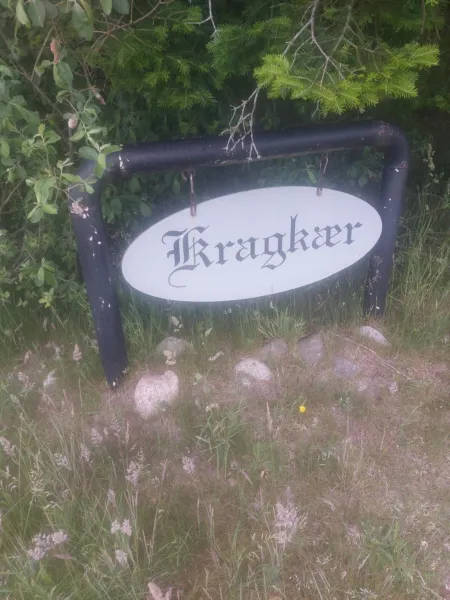 Billede 59 af KRAGKAER Deer-Lodge B&B & Guest House - Unique Holiday Homes