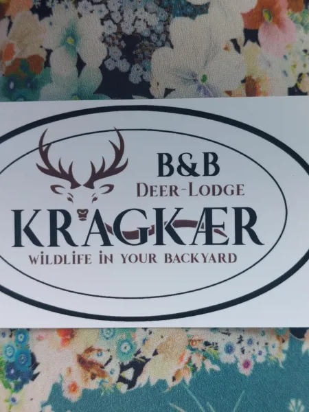 Billede 68 af KRAGKAER Deer-Lodge B&B & Guest House - Unique Holiday Homes