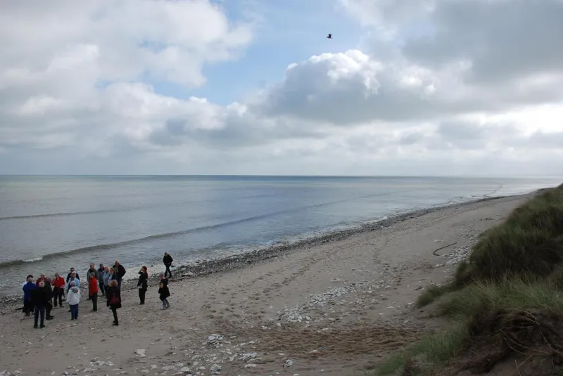 Billede 97 af Hytteby – Hanstholm Camping – Thy Feriepark