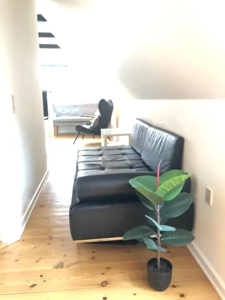 Billede 38 af Huset ved springvandet