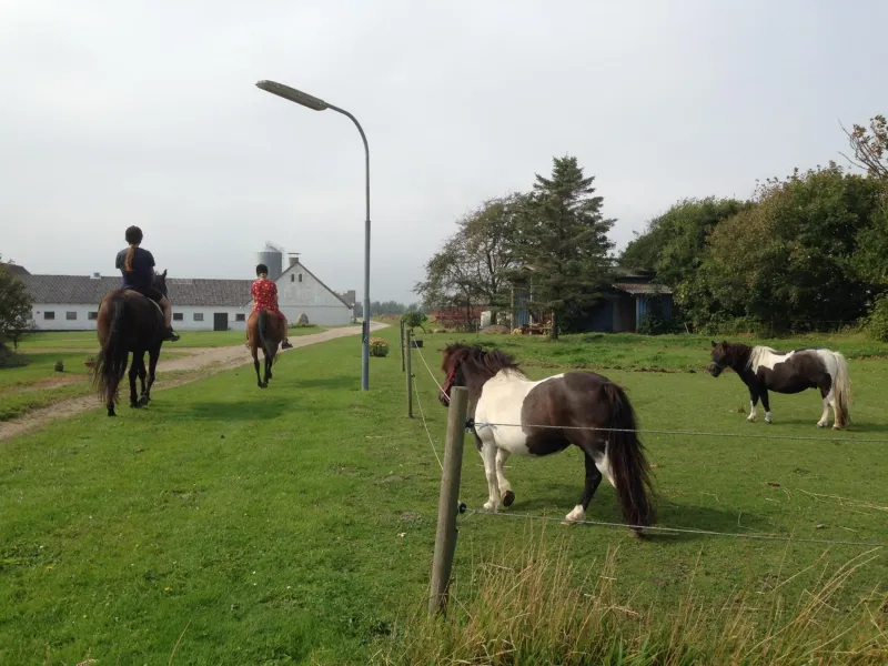 Billede 158 af Løkken Farm Holiday