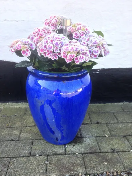 Billede 24 af Løkken Farm Holiday