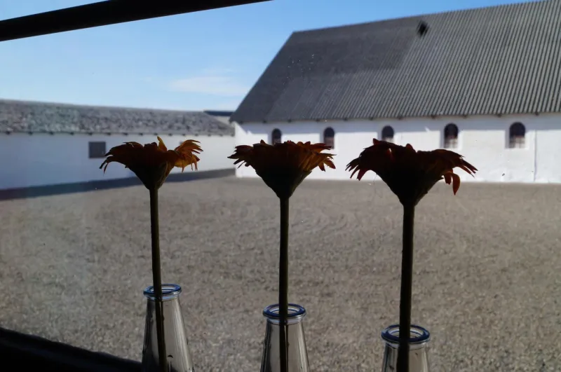 Billede 75 af Løkken Farm Holiday