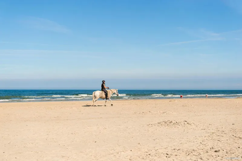 Billede 13 af First Camp Lakolk Strand Camping