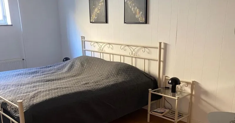 Bed minus breakfast Den hyggelige kælder