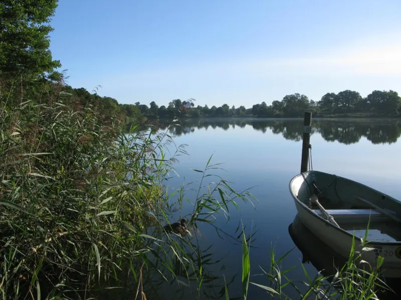 Billede 8 af Sorø Camping & Cottages