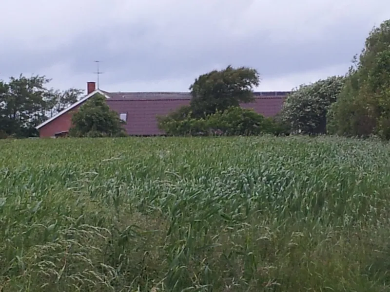 Billede 2 af Lilleledgaard studio
