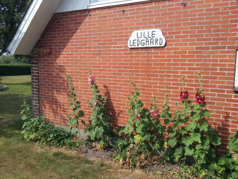 Billede 8 af Lilleledgaard studio
