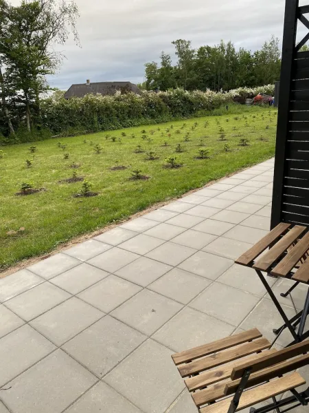 Billede 13 af Klokkehoej