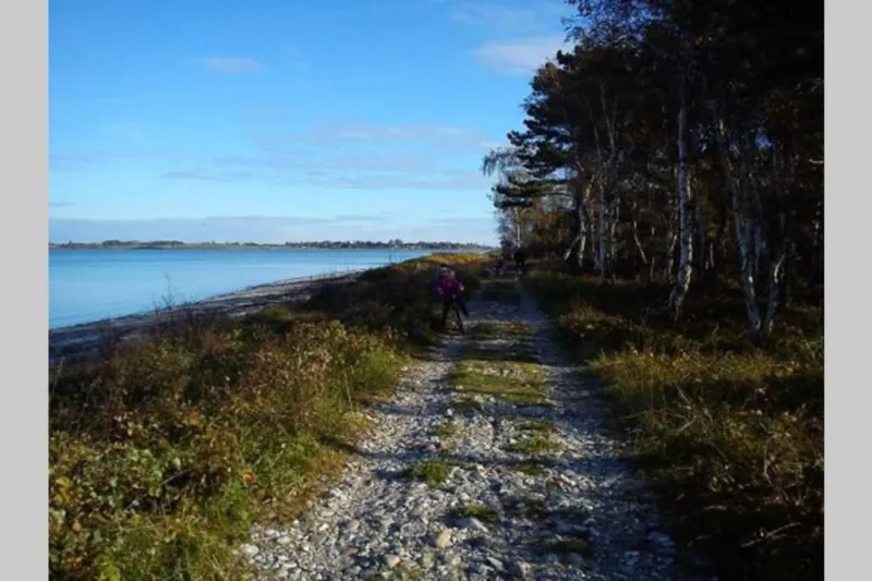 Billede 13 af cottage close to Hasmark beach 150m