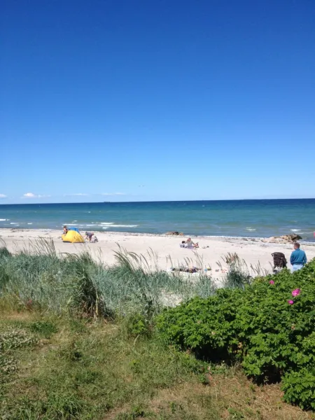 Billede 19 af cottage close to Hasmark beach 150m