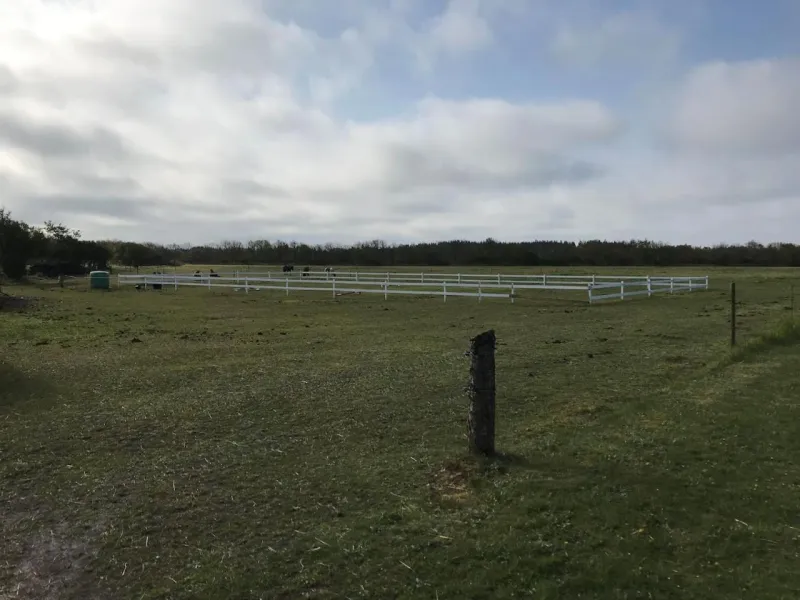Billede 10 af BB-Vadehavet Ferielejlighed til 6 personer ved Nationalpark Vadehavet