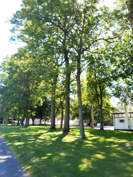 Billede 68 af Apartment in Danmark- Agernaesgaard Otterup