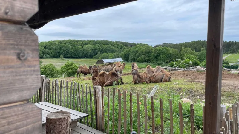 Billede 16 af Ree Park