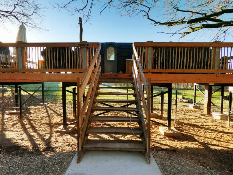 Billede 59 af Ree Park