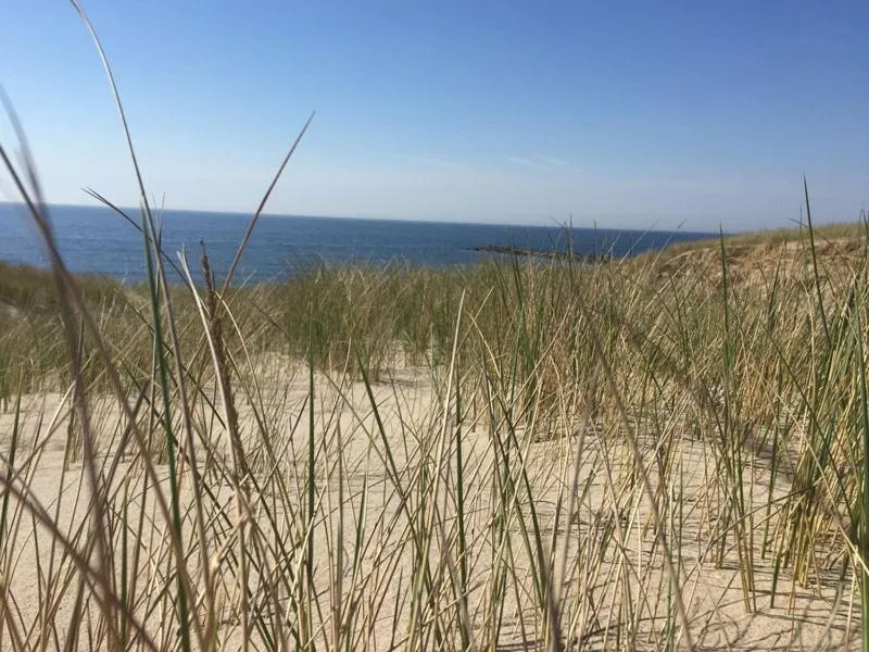 Billede 84 af Agger Tange Feriecenter lejligheder - 100 m fra Vesterhavet