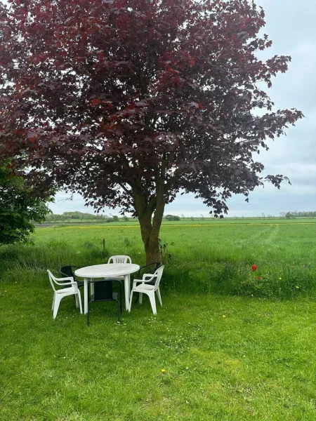 Billede 2 af Sommerhus på Mors