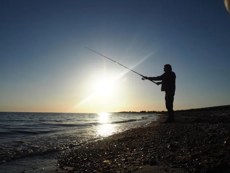 Billede 6 af Hummingen Strand 21