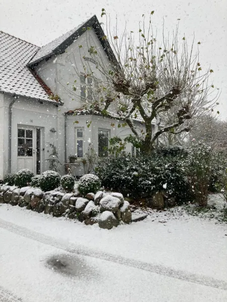 Billede 18 af Marielyst B&B - Apartments