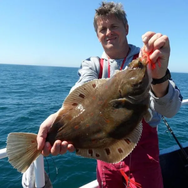 Billede 3 af B&B Wharfside Hirtshals