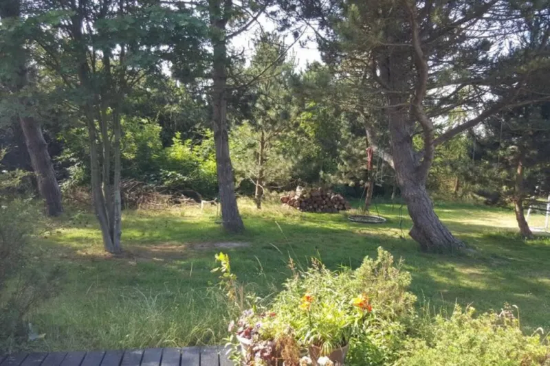 Billede 10 af Panoramic seaview from cottage