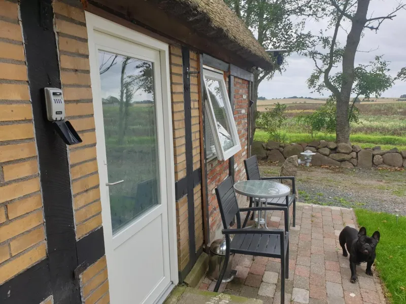 Billede 8 af Cozy Hideaway - Rustic Charm & Outdoor Adventure 1
